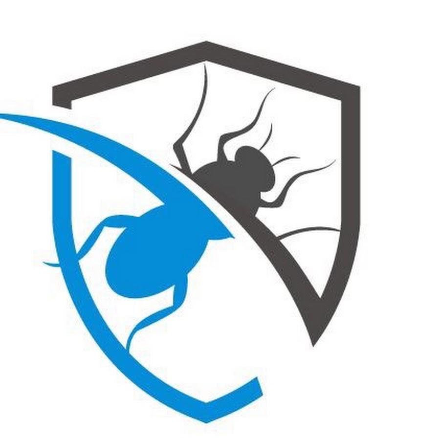 ООО "Развитие" — логотип