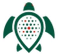 ООО «ТТ Смарт Групп»