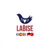 Labise — онлайн-школа иностранных языков