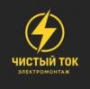 Чистый ток